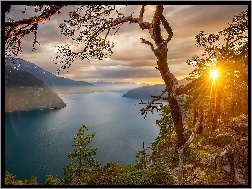 Promienie Słońca, Mgła, Drzewa, Fiord, Góry, Norwegia